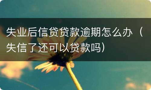 失业后信贷贷款逾期怎么办（失信了还可以贷款吗）