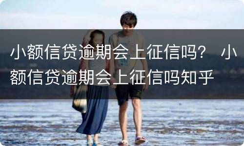 小额信贷逾期会上征信吗？ 小额信贷逾期会上征信吗知乎