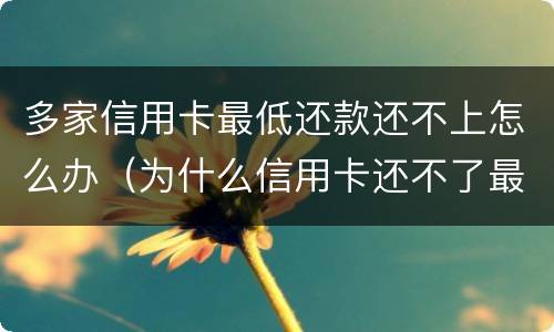 多家信用卡最低还款还不上怎么办（为什么信用卡还不了最低还款额）