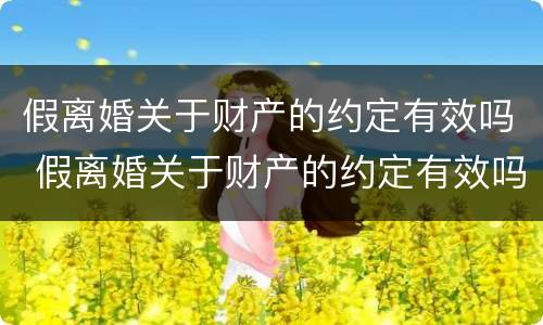 假离婚关于财产的约定有效吗 假离婚关于财产的约定有效吗法律