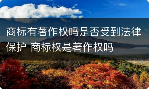 商标有著作权吗是否受到法律保护 商标权是著作权吗