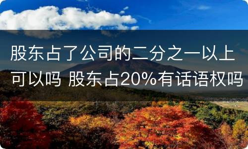 股东占了公司的二分之一以上可以吗 股东占20%有话语权吗