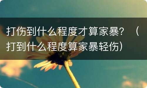 打伤到什么程度才算家暴？（打到什么程度算家暴轻伤）
