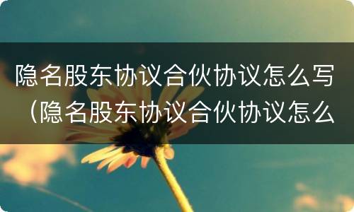 隐名股东协议合伙协议怎么写（隐名股东协议合伙协议怎么写才有效）