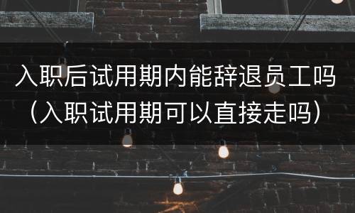 入职后试用期内能辞退员工吗（入职试用期可以直接走吗）