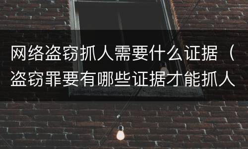 网络盗窃抓人需要什么证据（盗窃罪要有哪些证据才能抓人）