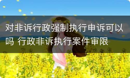 对非诉行政强制执行申诉可以吗 行政非诉执行案件审限