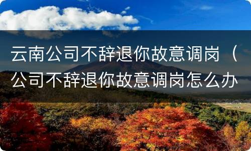云南公司不辞退你故意调岗（公司不辞退你故意调岗怎么办）