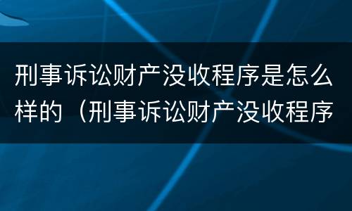 刑事诉讼财产没收程序是怎么样的（刑事诉讼财产没收程序是怎么样的案例）