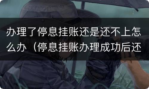 办理了停息挂账还是还不上怎么办（停息挂账办理成功后还有逾期吗?）