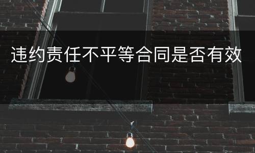 违约责任不平等合同是否有效