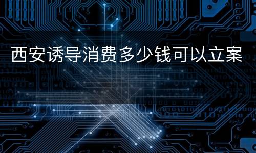 西安诱导消费多少钱可以立案