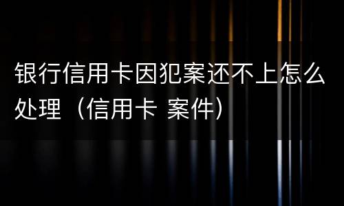 银行信用卡因犯案还不上怎么处理（信用卡 案件）