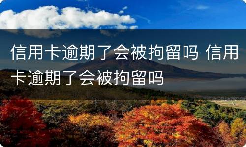 信用卡逾期了会被拘留吗 信用卡逾期了会被拘留吗