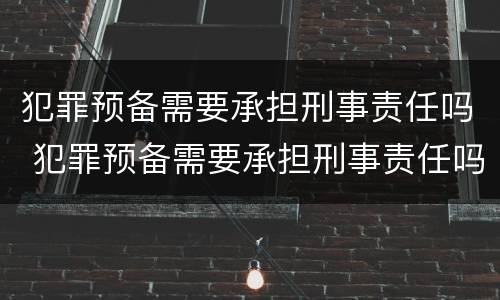 犯罪预备需要承担刑事责任吗 犯罪预备需要承担刑事责任吗知乎
