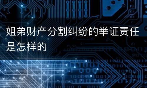 姐弟财产分割纠纷的举证责任是怎样的