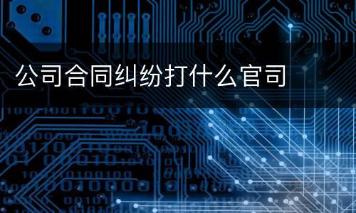 公司合同纠纷打什么官司