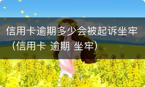信用卡逾期多少会被起诉坐牢（信用卡 逾期 坐牢）