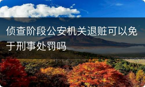 侦查阶段公安机关退赃可以免于刑事处罚吗