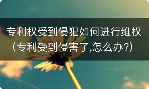 专利权受到侵犯如何进行维权（专利受到侵害了,怎么办?）