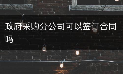 政府采购分公司可以签订合同吗