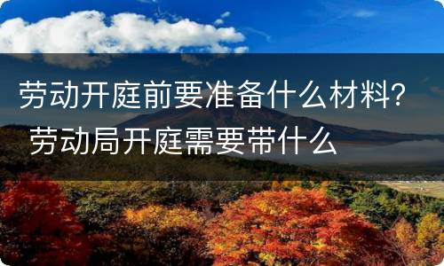 劳动开庭前要准备什么材料？ 劳动局开庭需要带什么