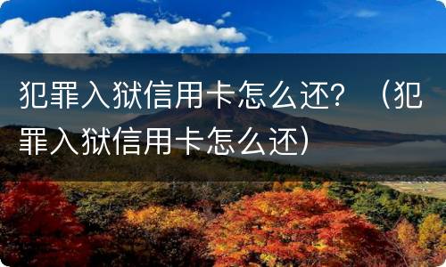 犯罪入狱信用卡怎么还？（犯罪入狱信用卡怎么还）