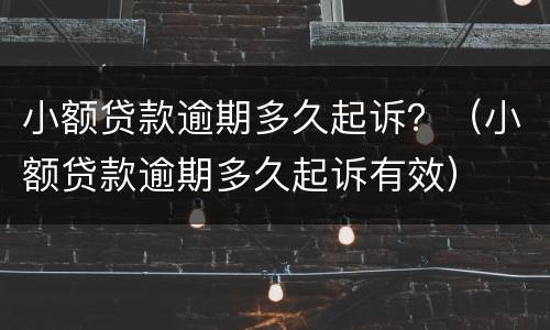小额贷款逾期多久起诉？（小额贷款逾期多久起诉有效）