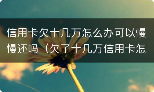 信用卡欠十几万怎么办可以慢慢还吗（欠了十几万信用卡怎么办）