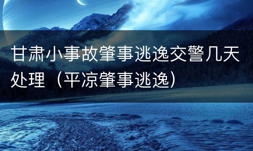 甘肃小事故肇事逃逸交警几天处理（平凉肇事逃逸）