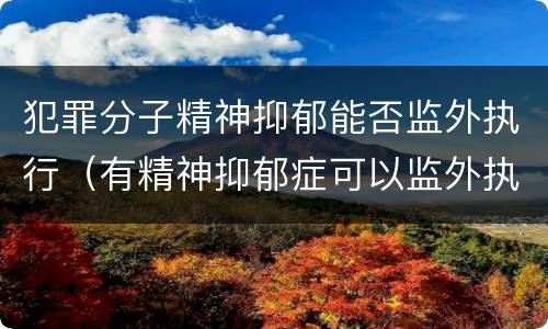 犯罪分子精神抑郁能否监外执行（有精神抑郁症可以监外执行吗）