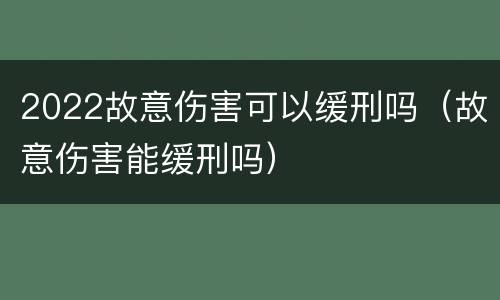 2022故意伤害可以缓刑吗（故意伤害能缓刑吗）