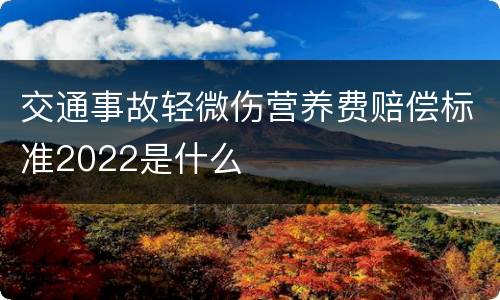 交通事故轻微伤营养费赔偿标准2022是什么