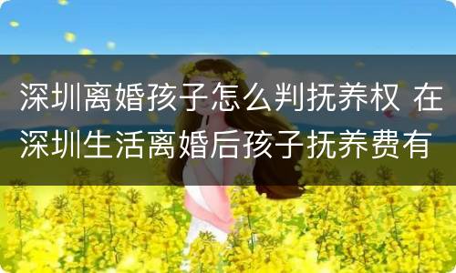 深圳离婚孩子怎么判抚养权 在深圳生活离婚后孩子抚养费有标准吗?