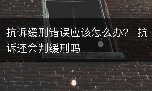 抗诉缓刑错误应该怎么办？ 抗诉还会判缓刑吗