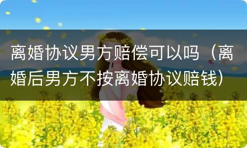 离婚协议男方赔偿可以吗（离婚后男方不按离婚协议赔钱）