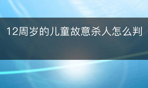 12周岁的儿童故意杀人怎么判