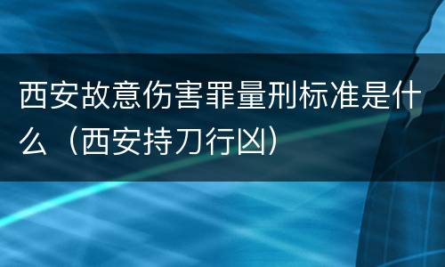 西安故意伤害罪量刑标准是什么（西安持刀行凶）