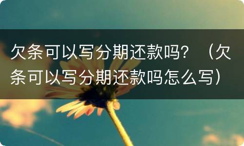 欠条可以写分期还款吗？（欠条可以写分期还款吗怎么写）
