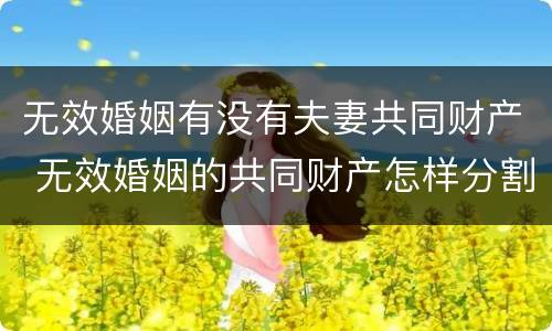 无效婚姻有没有夫妻共同财产 无效婚姻的共同财产怎样分割