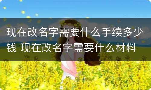 现在改名字需要什么手续多少钱 现在改名字需要什么材料