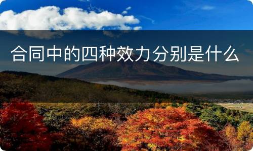 合同中的四种效力分别是什么