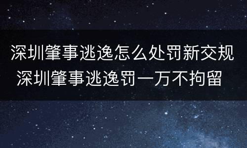 深圳肇事逃逸怎么处罚新交规 深圳肇事逃逸罚一万不拘留