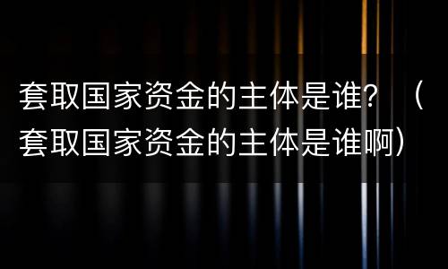 套取国家资金的主体是谁？（套取国家资金的主体是谁啊）