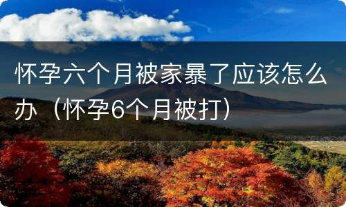 怀孕六个月被家暴了应该怎么办（怀孕6个月被打）