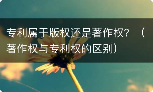 专利属于版权还是著作权？（著作权与专利权的区别）
