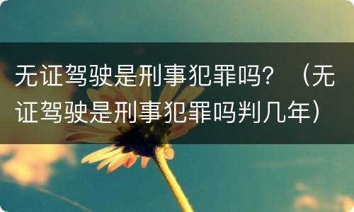 无证驾驶是刑事犯罪吗？（无证驾驶是刑事犯罪吗判几年）
