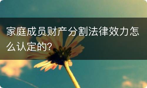 家庭成员财产分割法律效力怎么认定的？