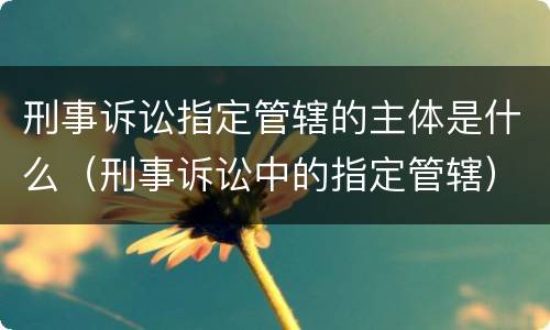 刑事诉讼指定管辖的主体是什么（刑事诉讼中的指定管辖）