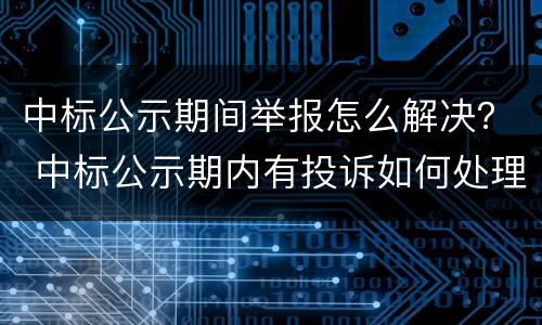 中标公示期间举报怎么解决？ 中标公示期内有投诉如何处理